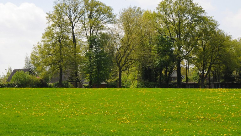 Buitenplaats in den Olden Bongerd