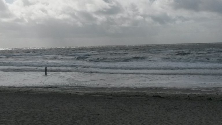Strand en zee - Hotel den Helder