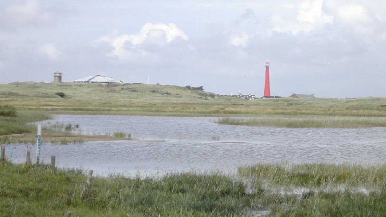 Omgeving - Hotel den Helder