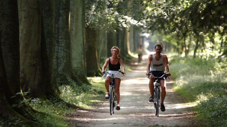 Umgebung - Ferienpark Lourenshoeve