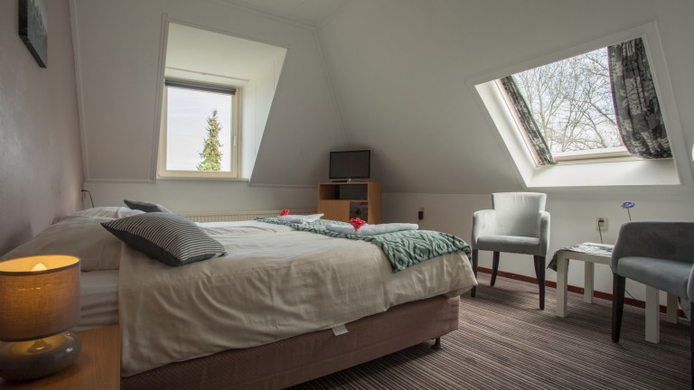 standaard kamer - Hotel Eperland