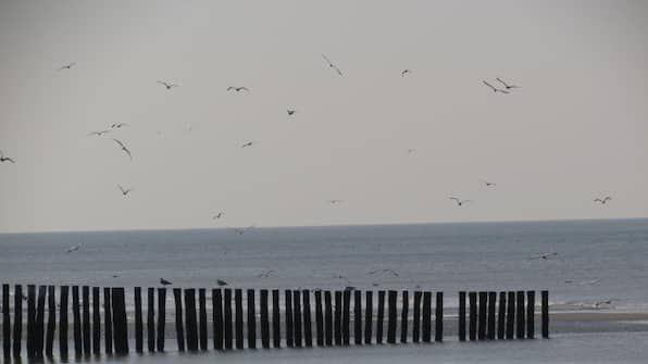 Umwelt - Die vier Jahreszeiten