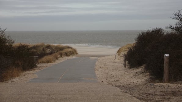 Omgeving - De Vier Seizoenen