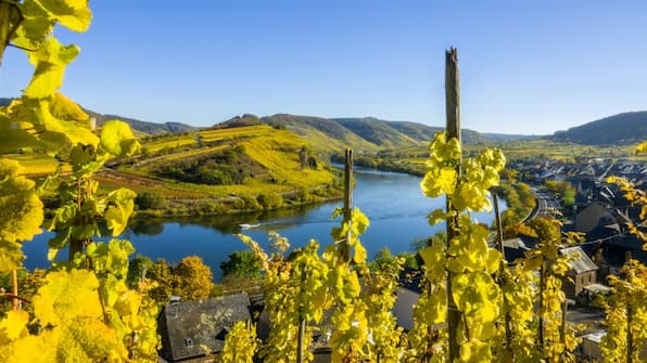 Umwelt - Landhotel Ringelsteiner Mühle