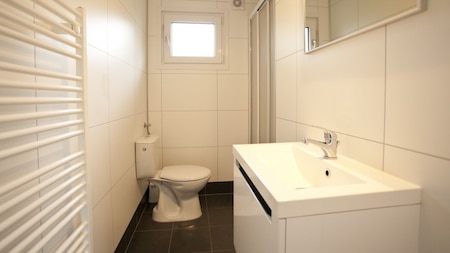 Badezimmer - EuroParcs Bad Hoophuizen