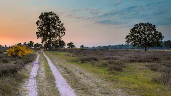 Omgeving - Vakantiepark de Bonte Vlucht