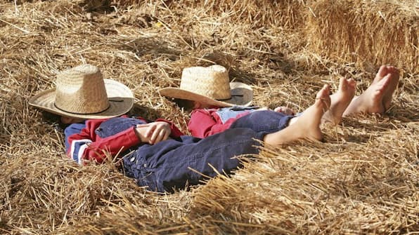 In de hooiberg - Vakantiepark De Lourenshoeve In de hooiberg - Vakantiepark De Lourenshoeve