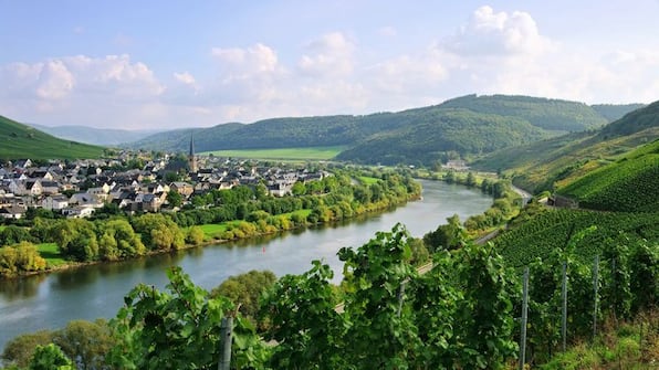 Mosel - Hotel am Hafen