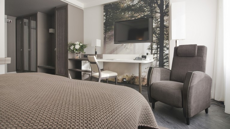 Luxe kamer - Hotel De Hoeve van Nunspeet