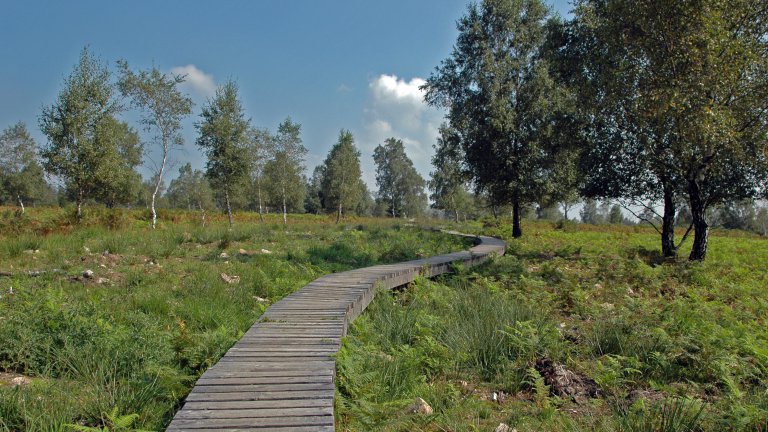 Umgebung - Domaine Moulin D Hotton