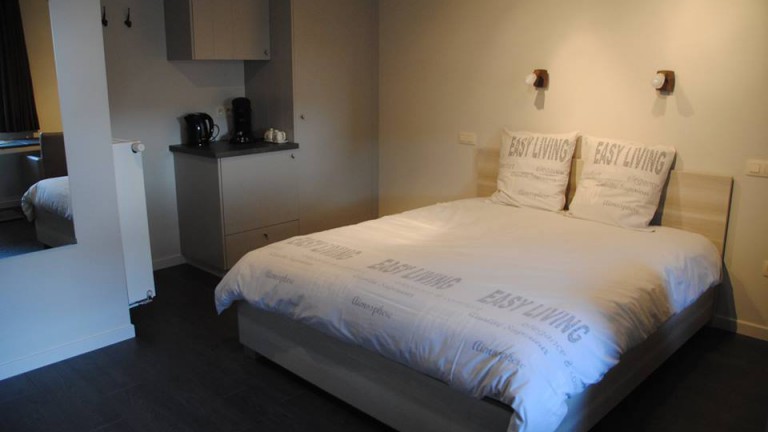 Hotelkamer - Bed and Breakfast De Oude Winning