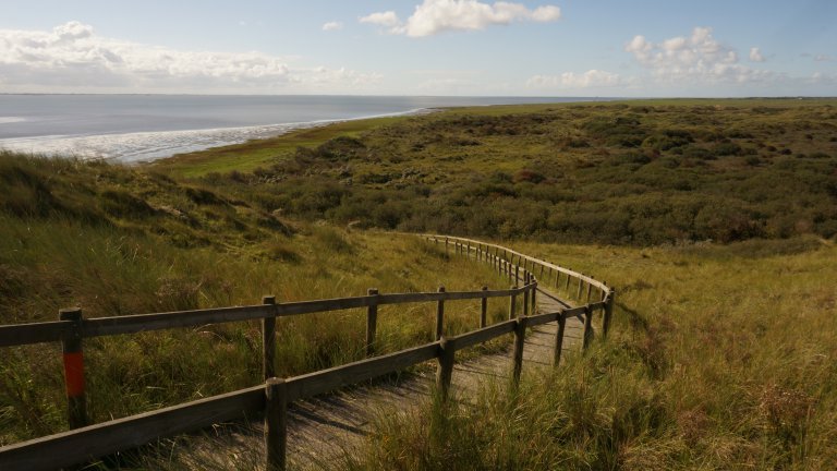 Omgeving - Hotel Nes
