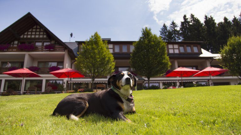 Hotel Kleins Wiese