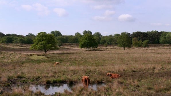 Omgeving - De Koningsherberg