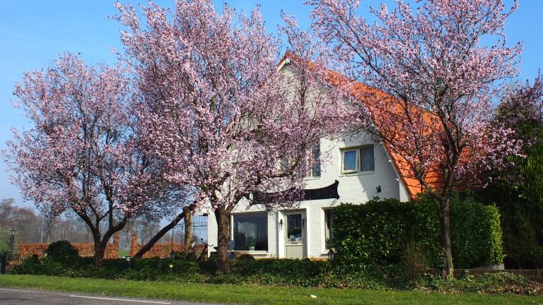 BnB Sagenland - BnB Sagenland