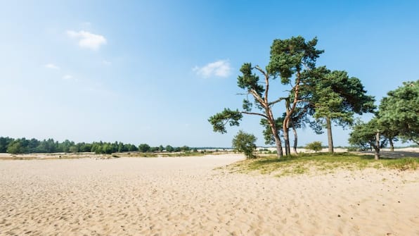 Omgeving - Hotel Natuurpoort van Loon