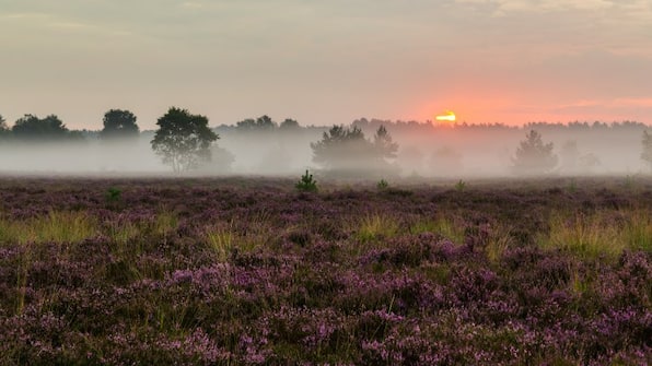 Omgeving - Hotel Natuurpoort van Loon