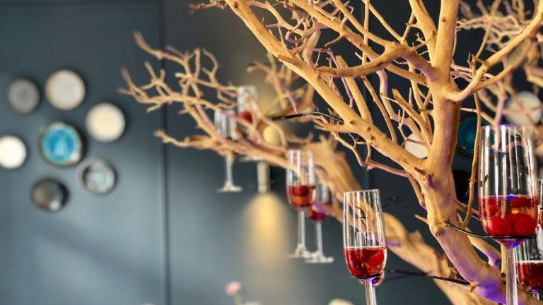Champagneboom - Kasteel Doenrade