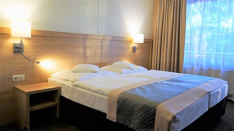 Standaardkamer - Hotel Zum Alten Forsthaus