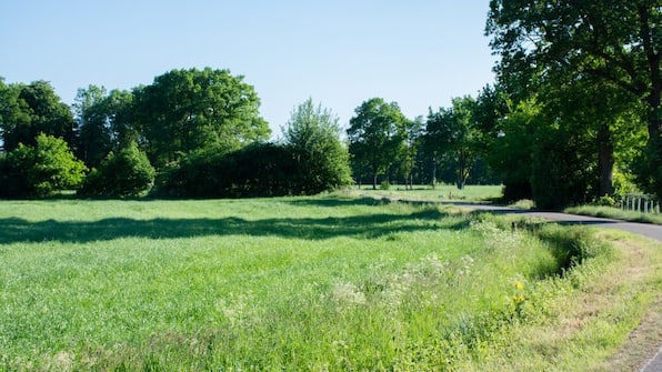 Omgeving - Bed and Breakfast Erve de Bosch