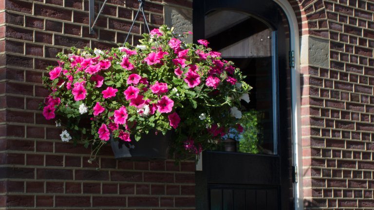 Entree - Bed and Breakfast Erve de Bosch
