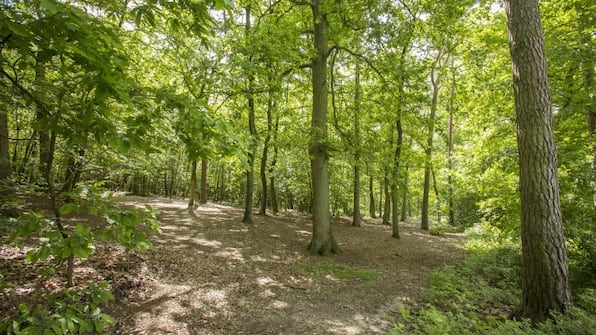 Umgebung - Hotel Der Bildeberg Umgebung - Hotel Der Bildeberg