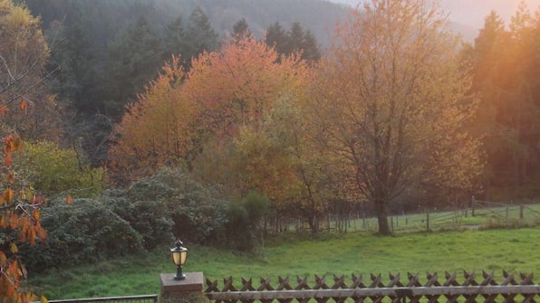 Omgeving - Hotel Zum Weissen Lamm Omgeving - Hotel Zum Weissen Lamm