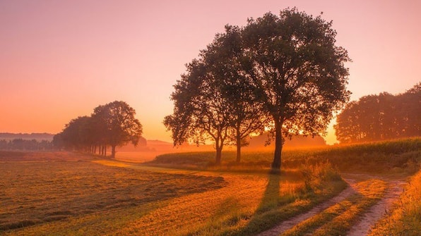Omgeving - Mercure Nijmegen Centre