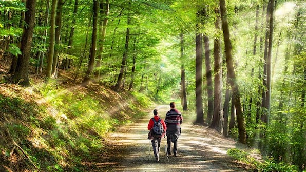 Achterhoek - Hotel de Lindeboom Achterhoek - Hotel de Lindeboom