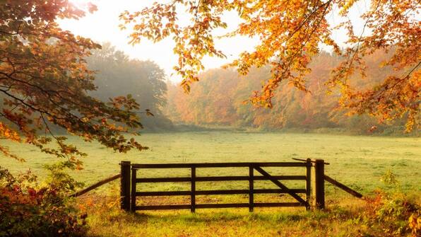 Omgeving - Bed and Breakfast Pica Bella Omgeving - Bed and Breakfast Pica Bella