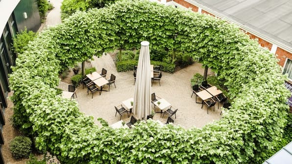 Terrasse - Hotel Zehn Kate Terrasse - Hotel Zehn Kate