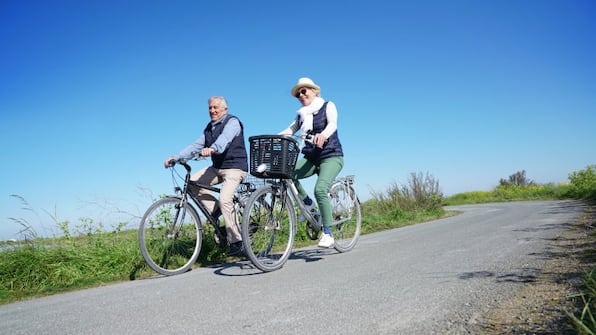Fietsen in de omgeving - Camping de Stal