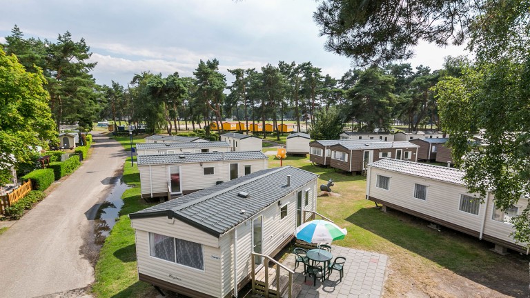 Typ Katze Wald - Camping Blauwe Meer