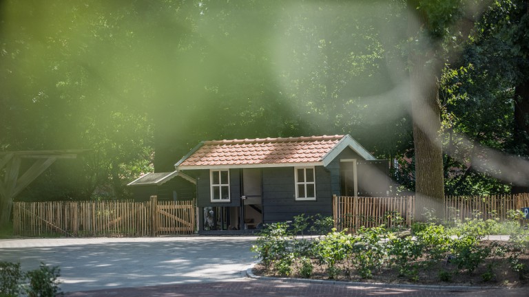 Stall Kleinvieh - Lodgetent - Erfgoed Bossem - Lodgetenten
