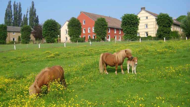 Bungalowpark Landsrade