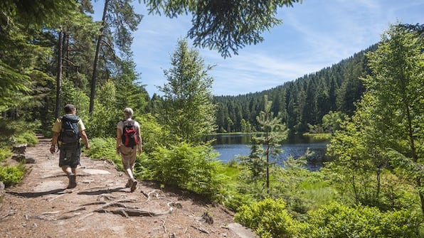 Wandelen - Hotel Restaurant Westhoff