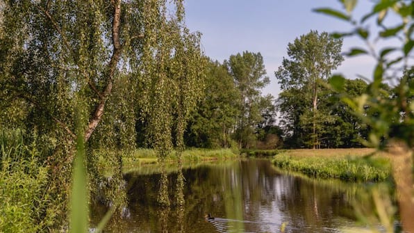 Omgeving - Vakantiepark Mölke Omgeving - Vakantiepark Mölke