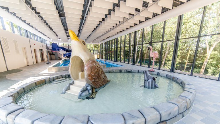 Hallenbad - Dormio Resort Maastricht