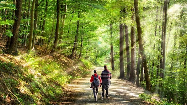 Achterhoek - Fietsvakantie heuvels, heide, bos en kastelen