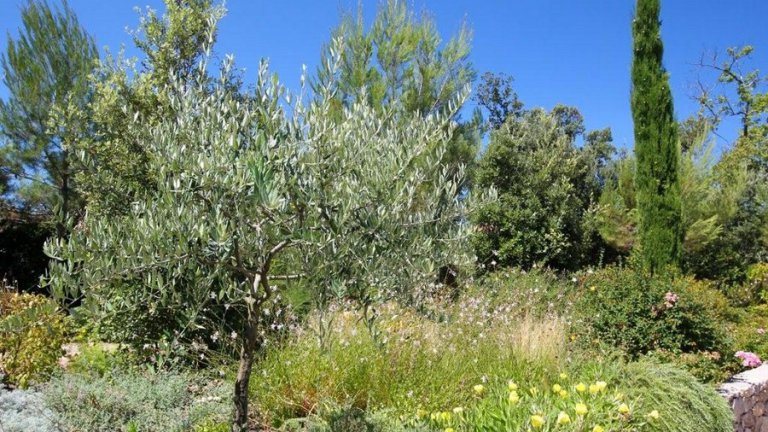 Grün Park - Vallée de la St. Baume