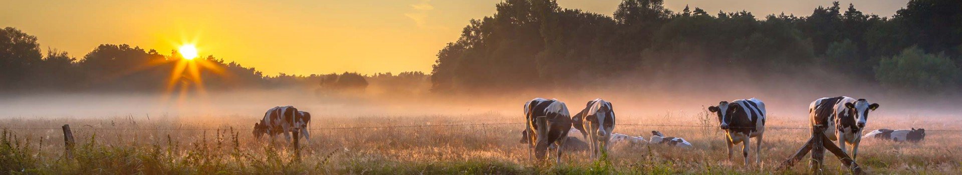 Hotels Twente