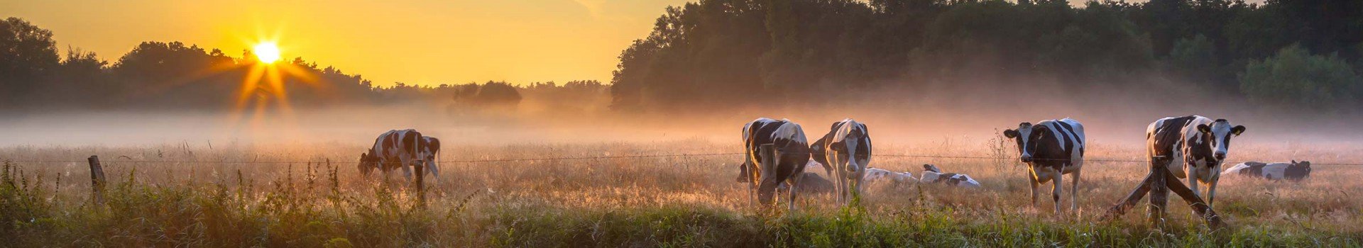 Hotels Twente