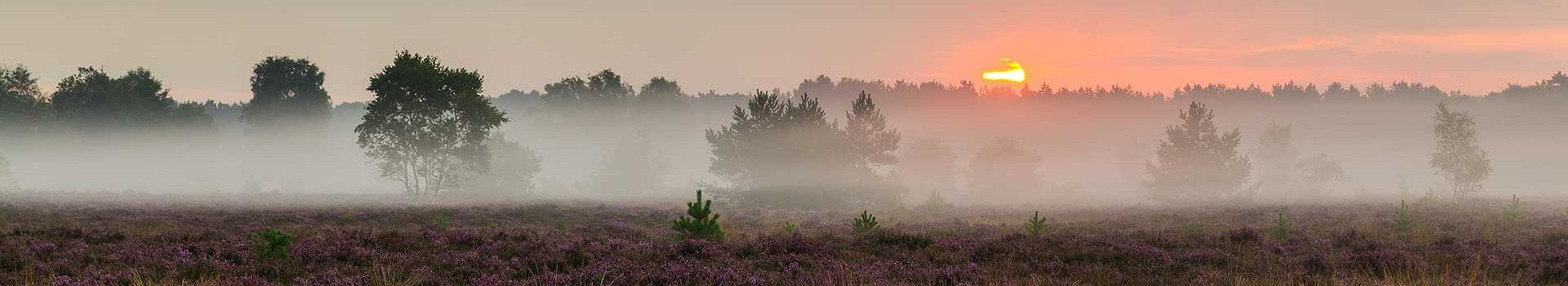 Hotels Bergen op Zoom