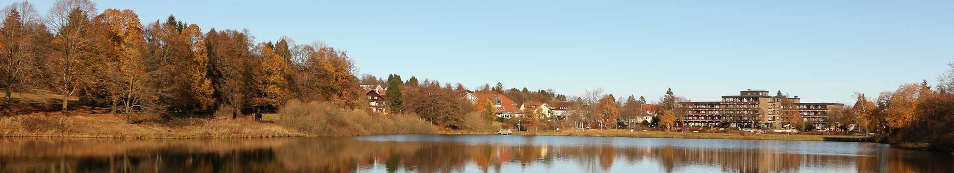 Hotels Goslar OT. Hahnenklee