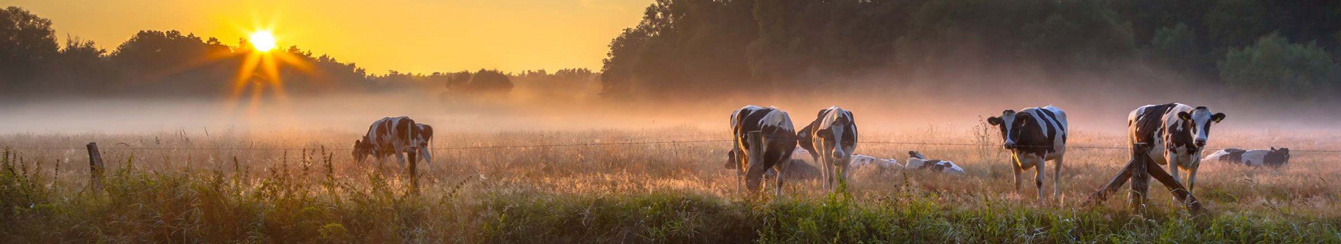 Hotels Hellendoorn