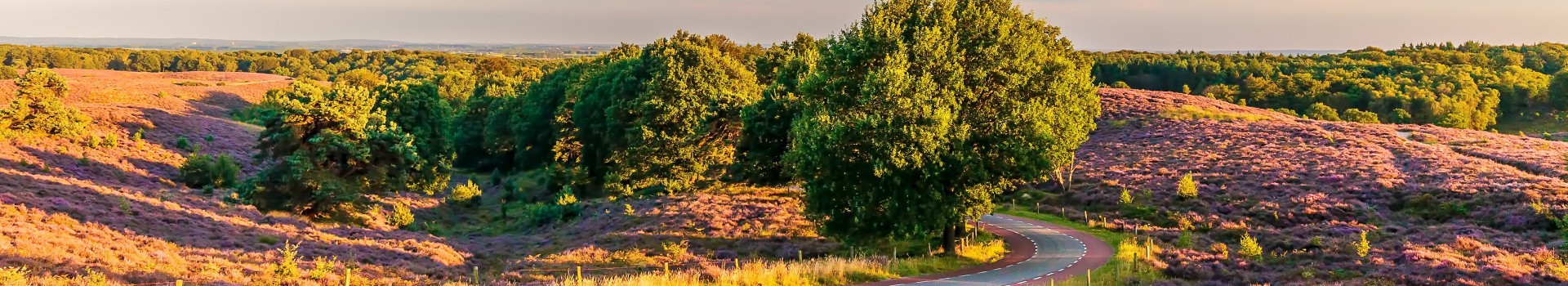 Veluwe Deals - Voordeeluitjes.nl