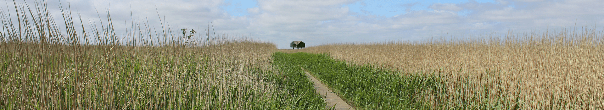 Winschoten header