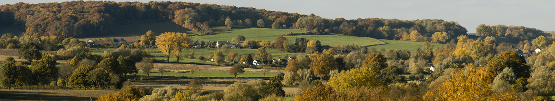 Limburg H