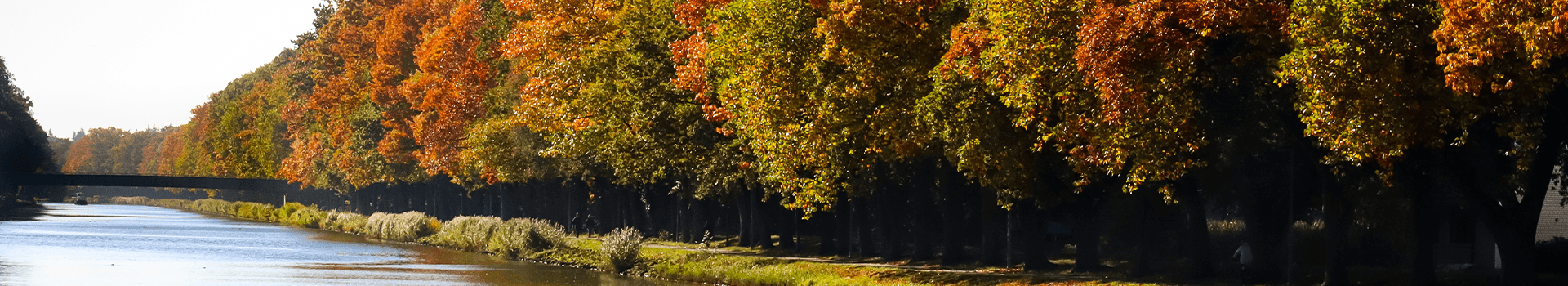 Lingen headerfoto