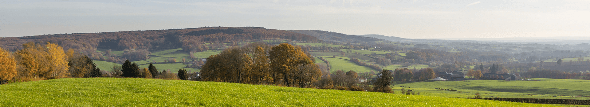 Limburg vakantiehuis Header